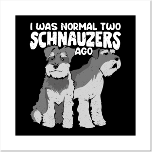 I Was Normal Two Schnauzers Ago Posters and Art